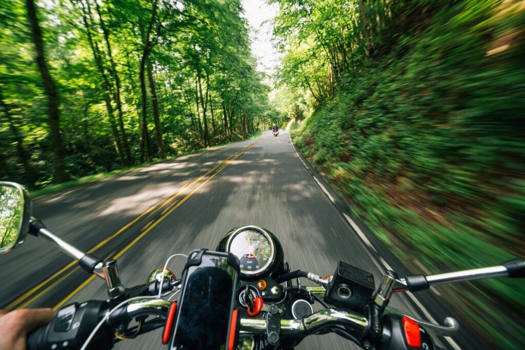 Motorcycle ride on a forested road.