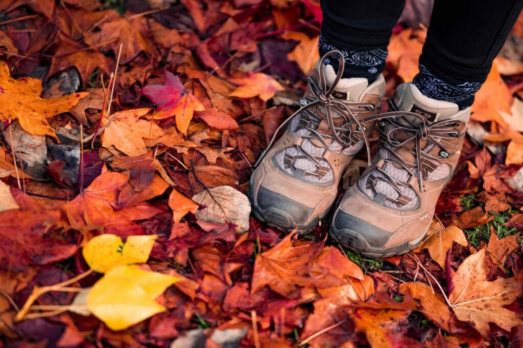 Hiking boots standing on autumn leaves.